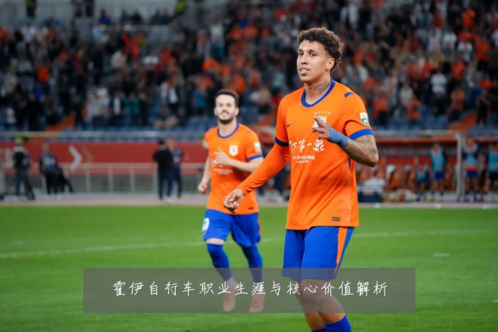 霍伊自行车职业生涯与核心价值解析